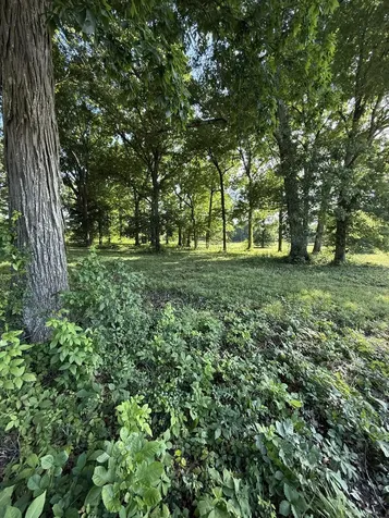 1988 Fayetteville Highway Belfast TN 37019