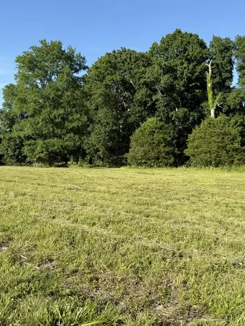 1988 Fayetteville Highway Belfast TN 37019