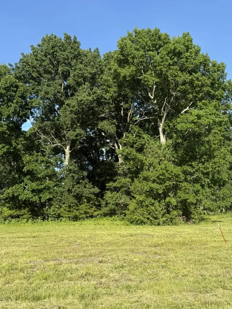 1988 Fayetteville Highway Belfast TN 37019