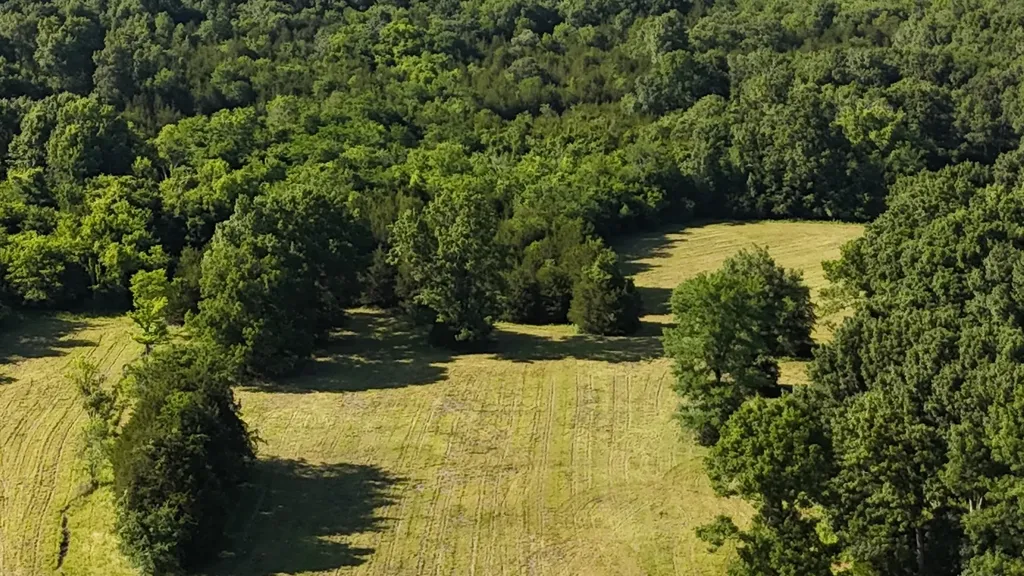 1988 Fayetteville Highway Belfast TN 37019