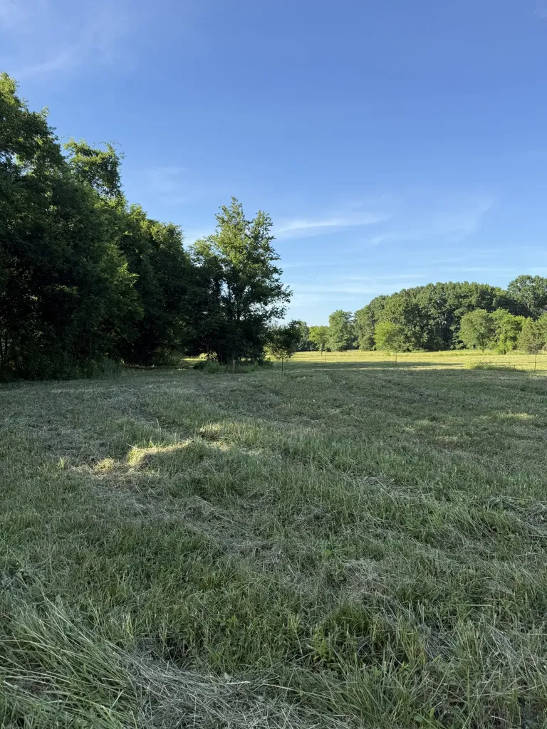 1988 Fayetteville Highway Belfast TN 37019