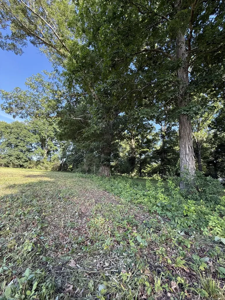 1988 Fayetteville Highway Belfast TN 37019