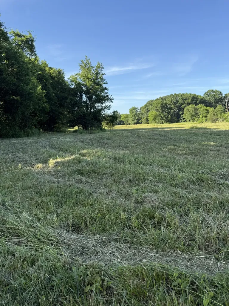 1988 Fayetteville Highway Belfast TN 37019