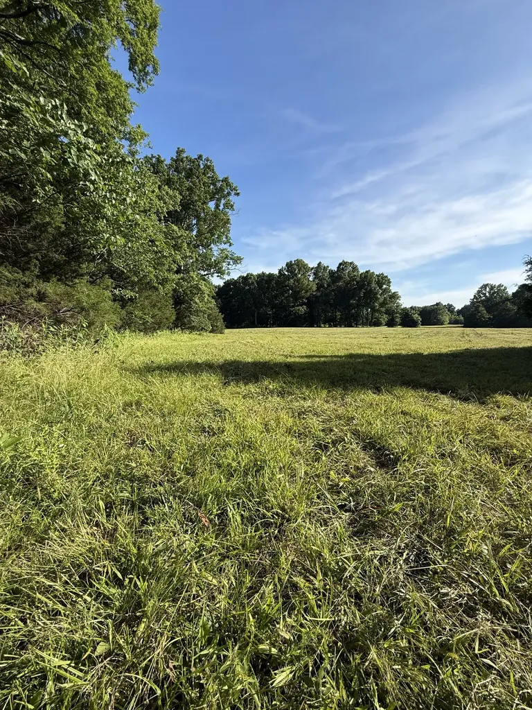 1988 Fayetteville Highway Belfast TN 37019