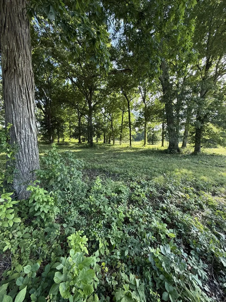 1988 Fayetteville Highway Belfast TN 37019