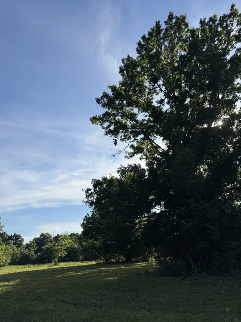 1988 Fayetteville Highway Belfast TN 37019