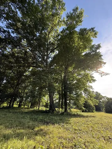 1988 Fayetteville Highway Belfast TN 37019