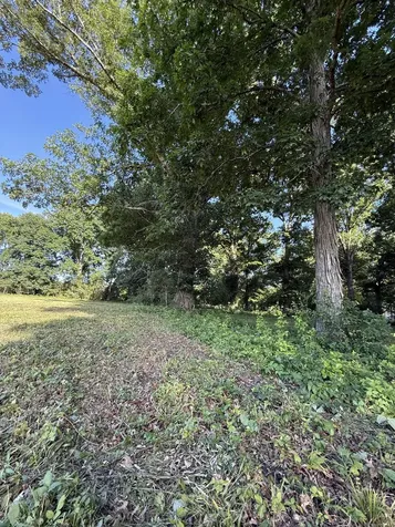 1988 Fayetteville Highway Belfast TN 37019