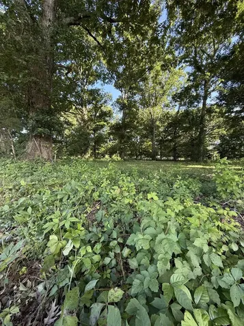 1988 Fayetteville Highway Belfast TN 37019