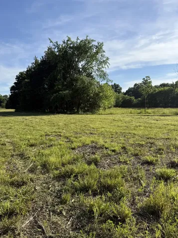 1988 Fayetteville Highway Belfast TN 37019