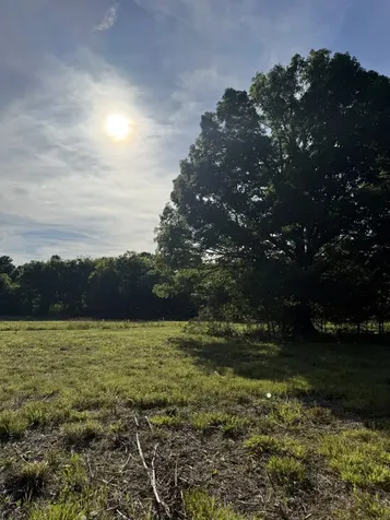 1988 Fayetteville Highway Belfast TN 37019