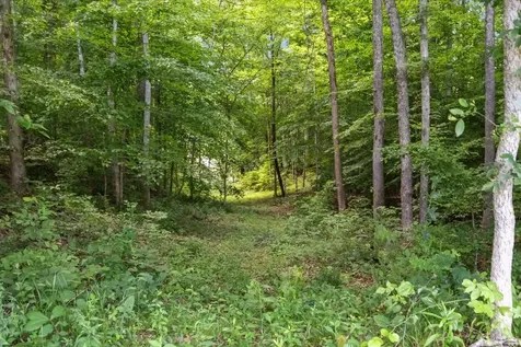3456 Hurricane Creek Road Mc Ewen TN 37101