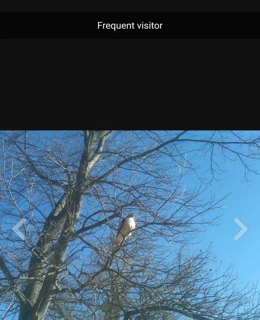 0 Forest Crossing Waverly TN 37185