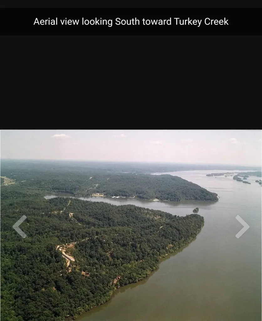 0 Forest Crossing Waverly TN 37185
