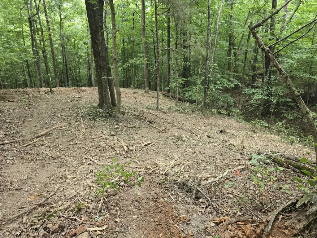 0 Cedar Hill Drive Waverly TN 37185