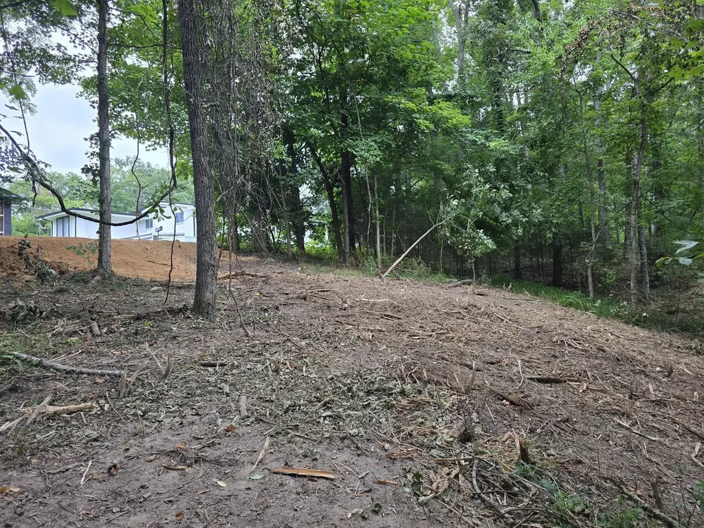 0 Cedar Hill Drive Waverly TN 37185
