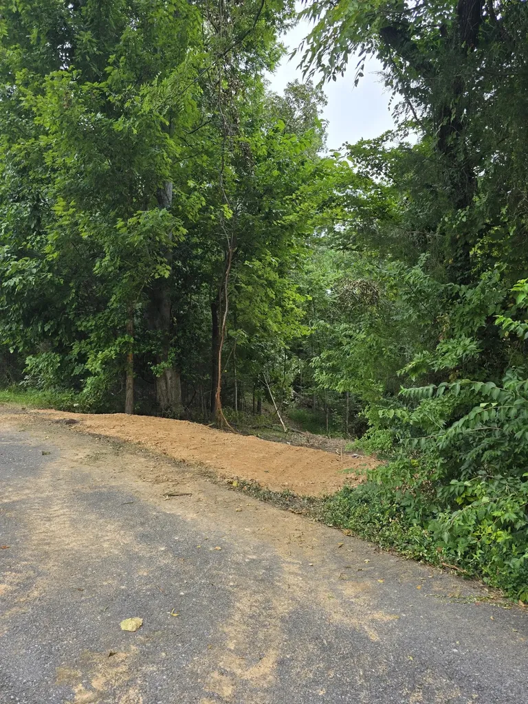 0 Cedar Hill Drive Waverly TN 37185