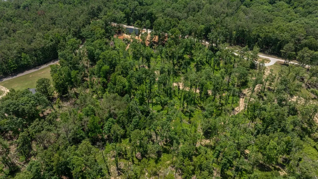 37 William Teague Lane Selmer TN 38375