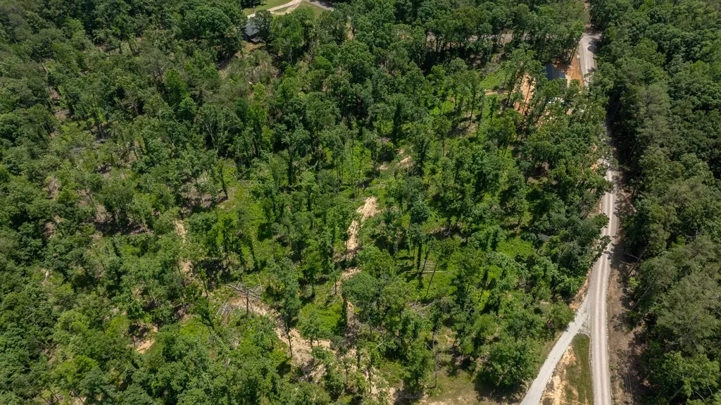 37 William Teague Lane Selmer TN 38375