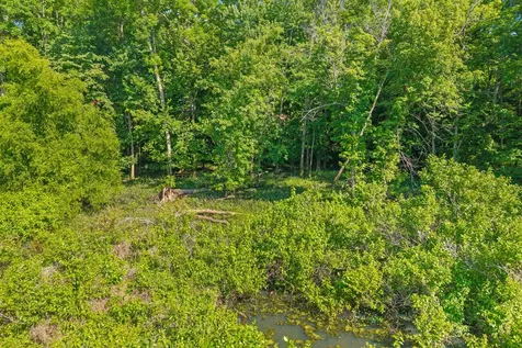 324 Bayview Drive Bumpus Mills TN 37028