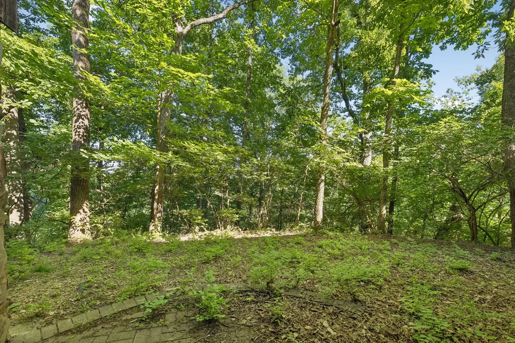 6606 Ormond Drive Nashville TN 37205