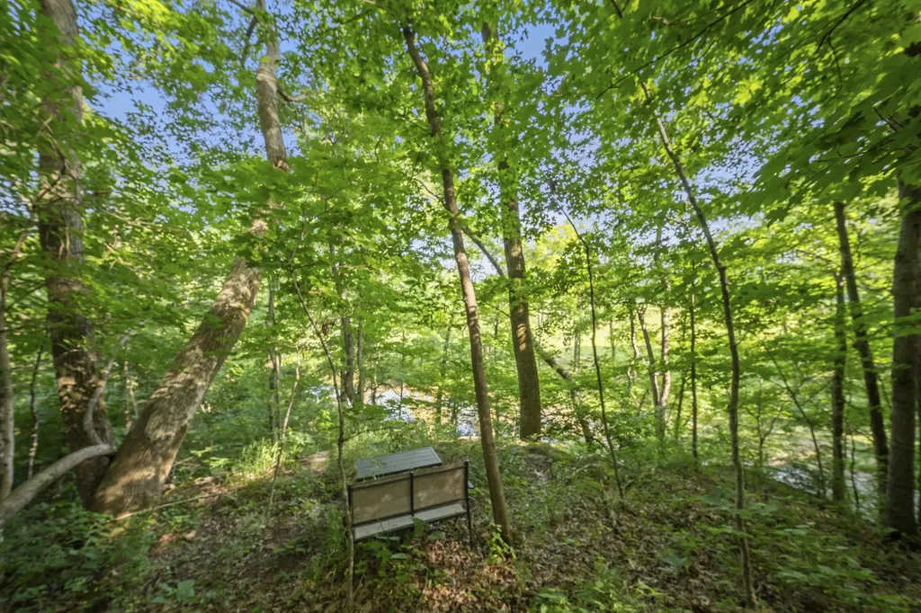 22153 Highway 49 E Springfield TN 37172