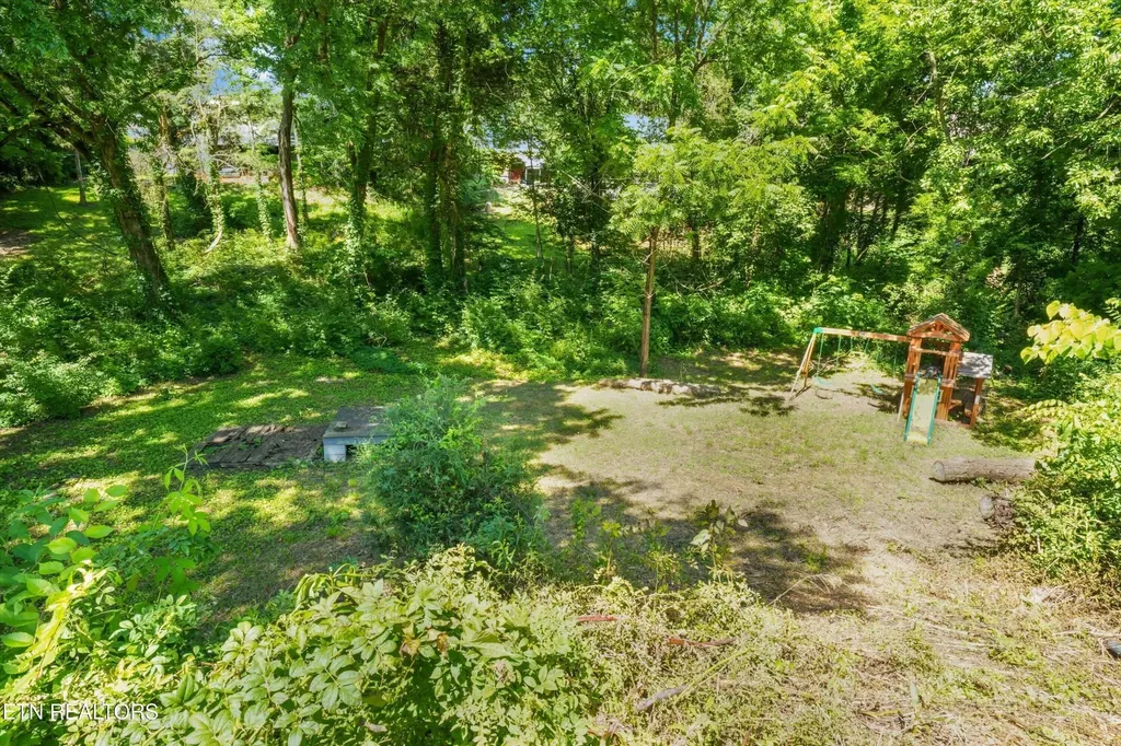 3311 Big Cove Lane Louisville TN 37777