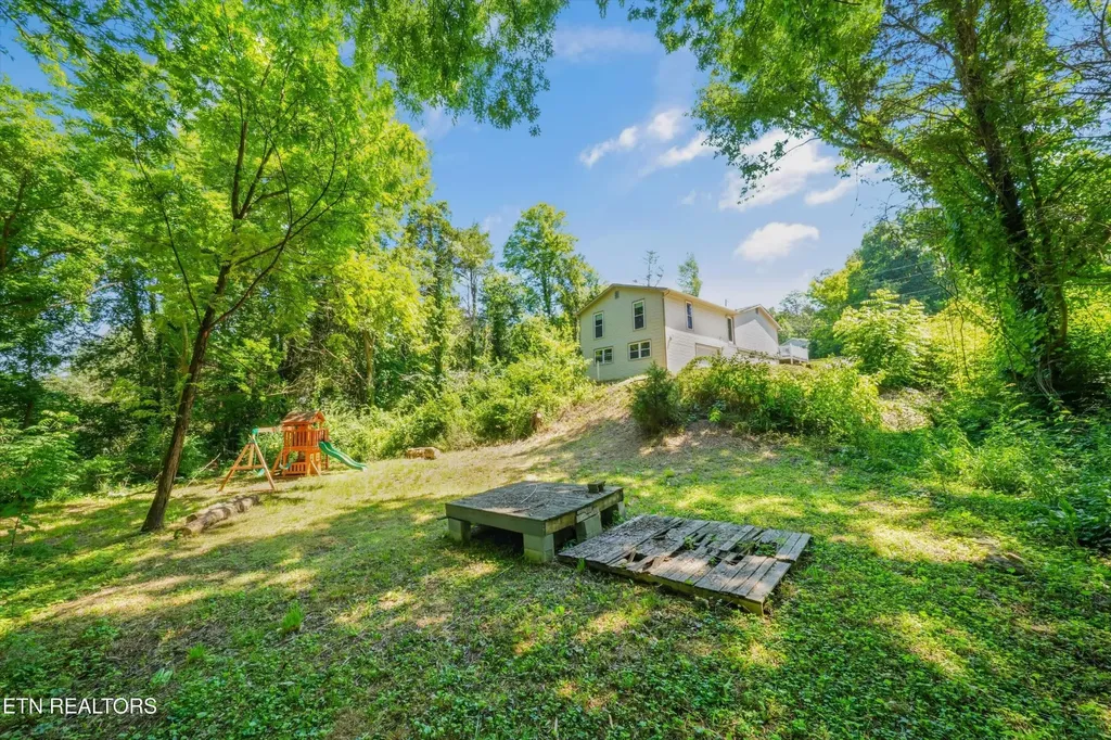 3311 Big Cove Lane Louisville TN 37777