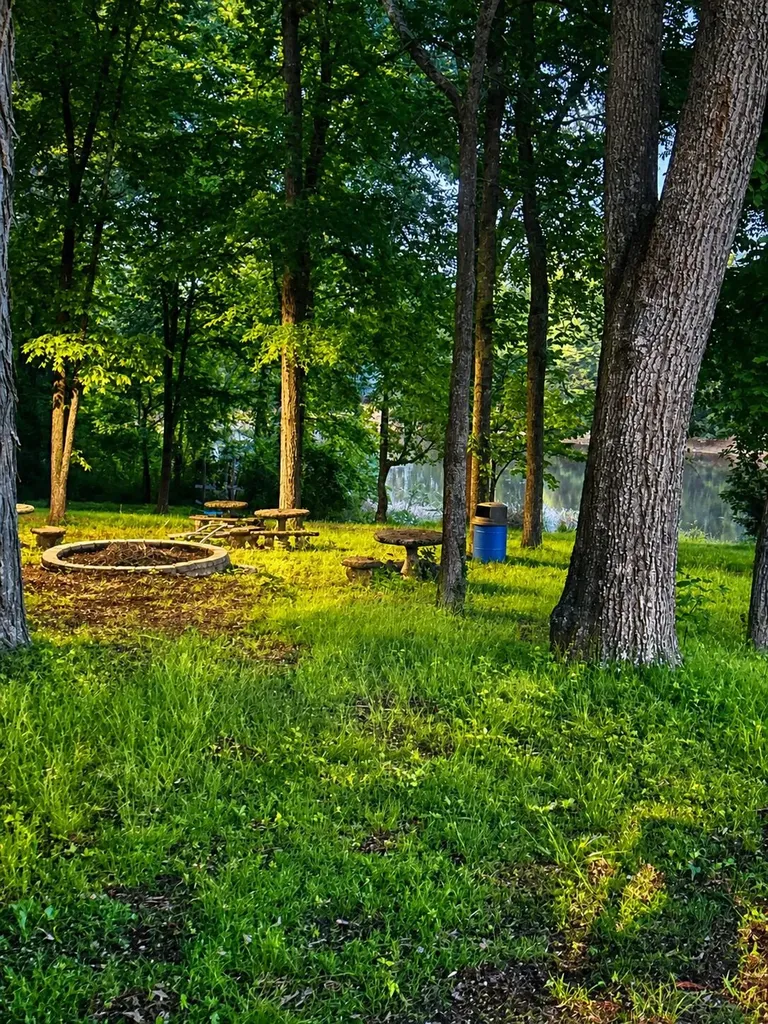 9917 Shore Drive Soddy Daisy TN 37379