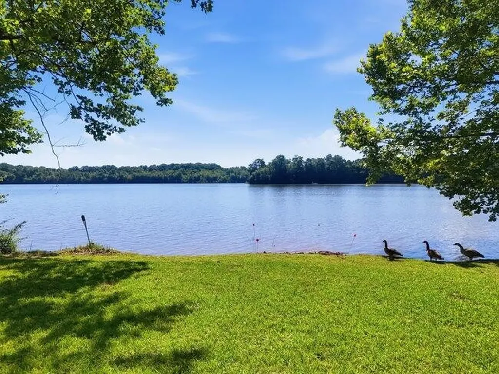 2863 New Lake Road Spring City TN 37381