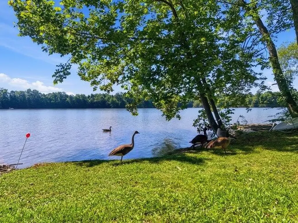 2863 New Lake Road Spring City TN 37381