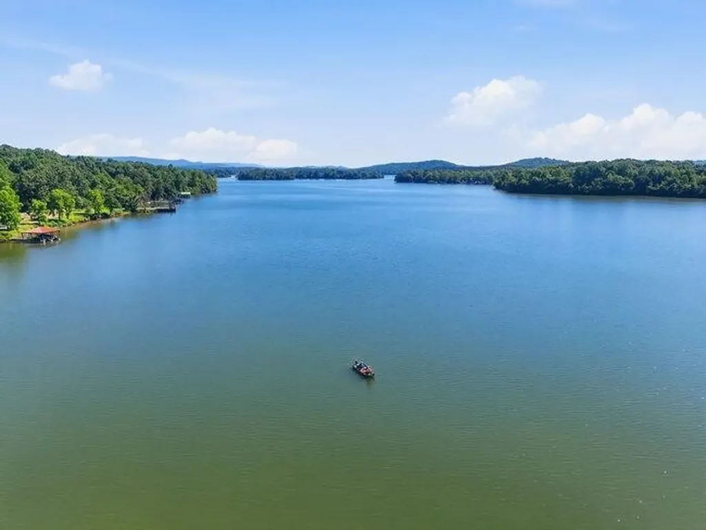 2863 New Lake Road Spring City TN 37381