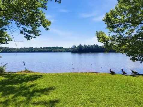 2863 New Lake Road Spring City TN 37381