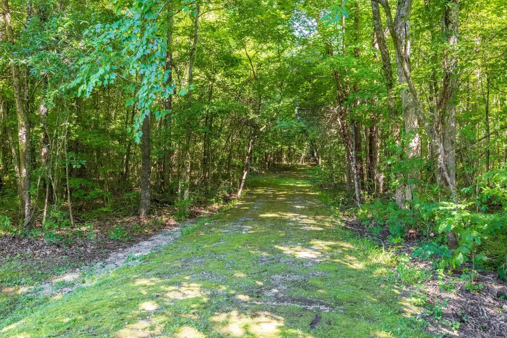 149 Ledford Lane Decatur TN 37322