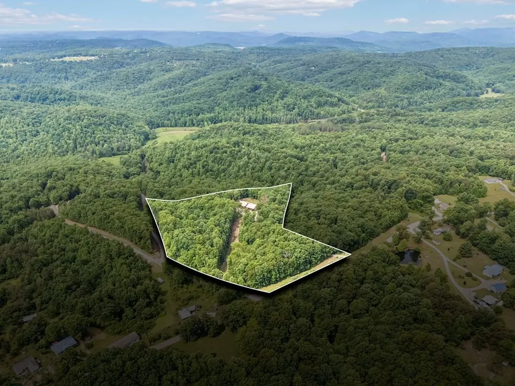 290 Vine Ridge Road, NE Crawford TN 38554