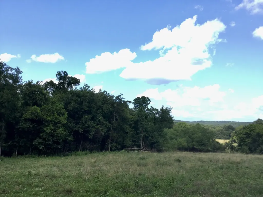 328 Wabash Road Lynchburg TN 37352