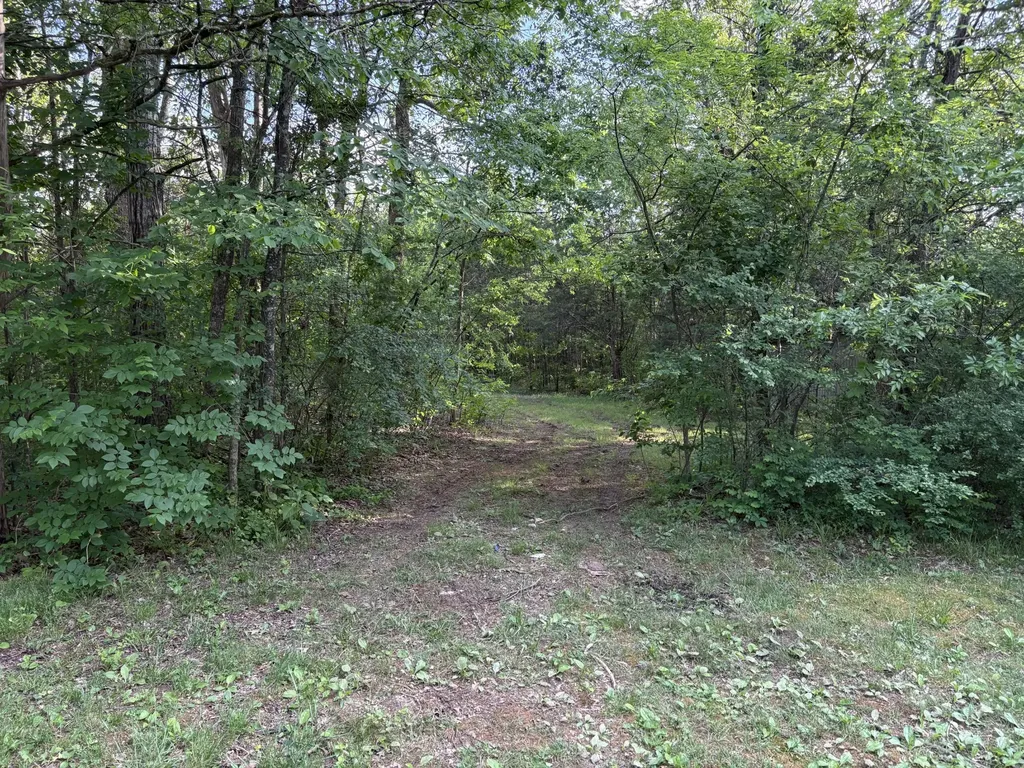 260 Simmons Bluff Road Lebanon TN 37090