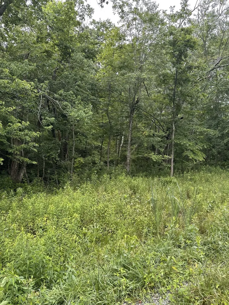 3119 Crow Drive Crossville TN 38572