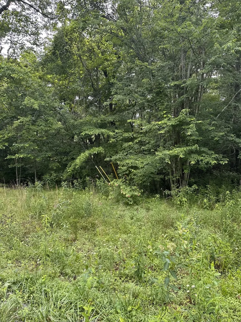 3119 Crow Drive Crossville TN 38572