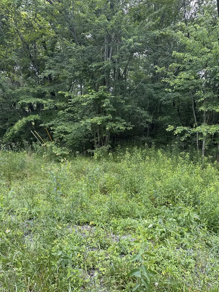 3119 Crow Drive Crossville TN 38572