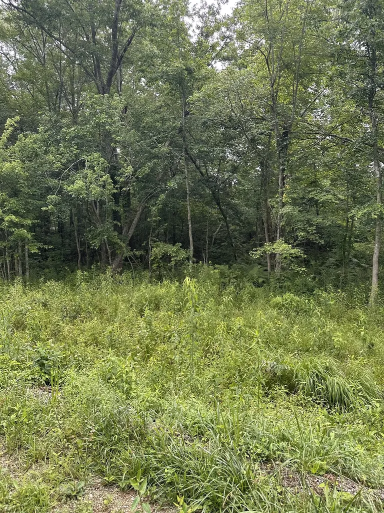 3119 Crow Drive Crossville TN 38572