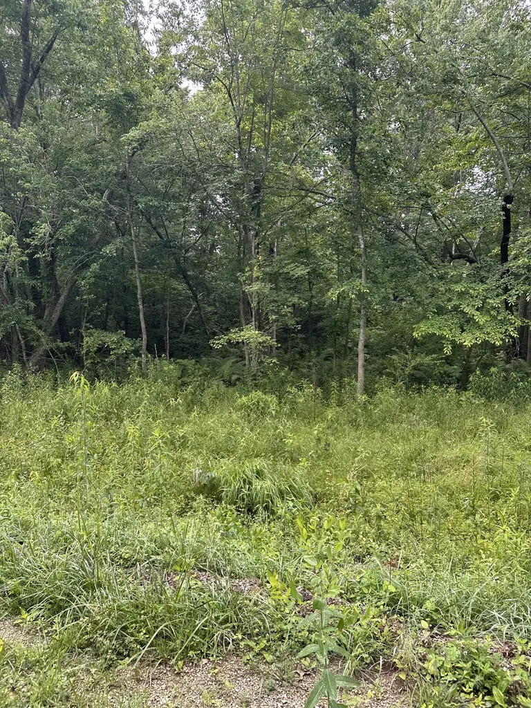3119 Crow Drive Crossville TN 38572