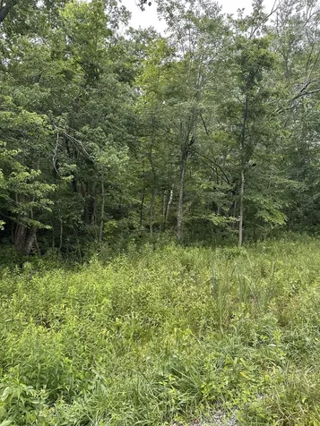 3119 Crow Drive Crossville TN 38572