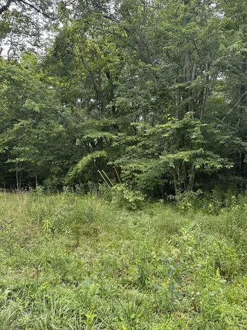 3119 Crow Drive Crossville TN 38572