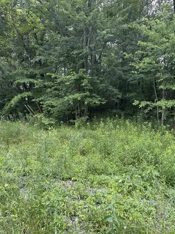 3119 Crow Drive Crossville TN 38572