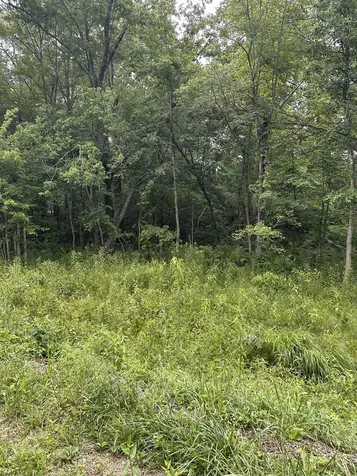 3119 Crow Drive Crossville TN 38572