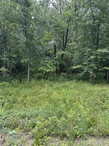 3119 Crow Drive Crossville TN 38572