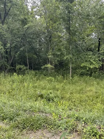 3119 Crow Drive Crossville TN 38572