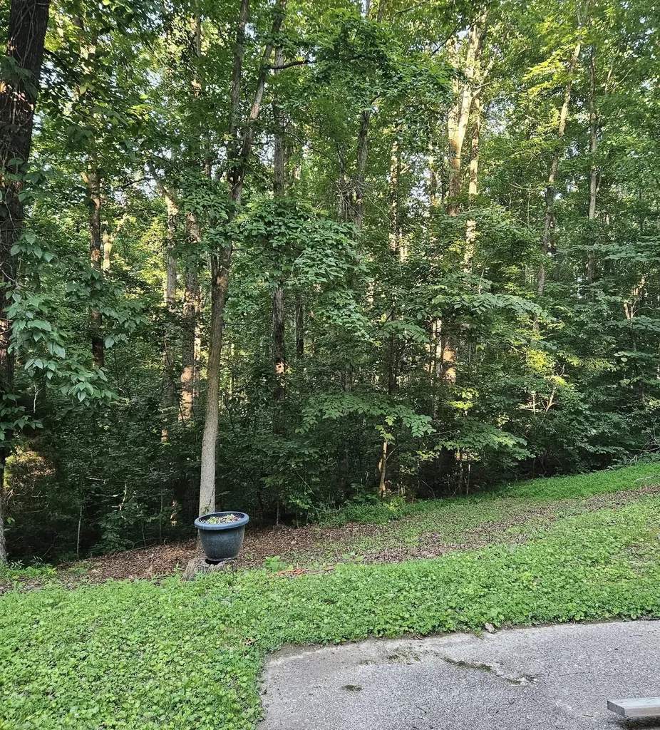 1040 Overlook Trail Kingston Springs TN 37082