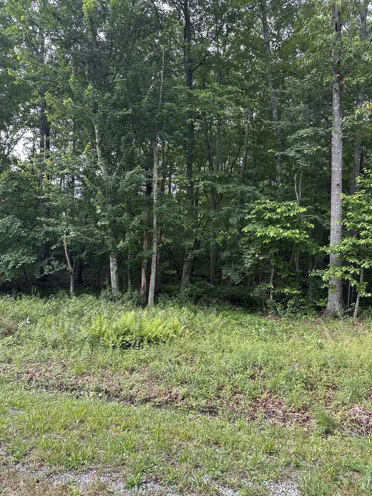 3031 Shawnee Road Crossville TN 38572